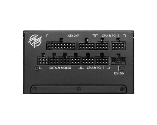 MSI MPG A1000G PCIE5 2